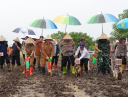Sukseskan Swasembada Pangan 2025, Pj Gubernur Prof Fadjry Djufry dan Forkopimda Kompak Tanam Jagung di Jeneponto
