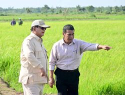 Survei 100 Hari Kerja Prabowo, Publik Dukung Swasembada Pangan Amran Sulaiman.