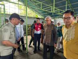 Pertamina Patra Niaga Regional Sulawesi Bersama Pj Gubernur Gorontalo Tinjau Ketersediaan LPG 3 Kg Jelang Ramadan.