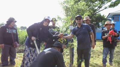 Hari Peduli Sampah Nasional, DLH Makassar Targetkan 200 Pohon Ketapang Kencana