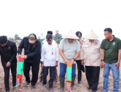 Bupati Takalar bekerjasama Edufarmers Internasional dan Pemuda Tani Indonesia Lakukan Penanaman Perdana Jagung