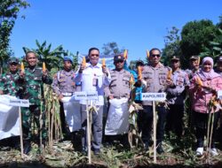 Wabup Lakukan Panen Raya Jagung bersama Forkopimda Takalar
