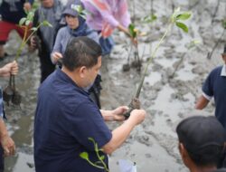 Wali Kota Munafri Tekankan Manfaat Mangrove untuk Lingkungan dan Ekonomi 