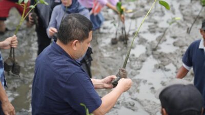 Wali Kota Munafri Tekankan Manfaat Mangrove untuk Lingkungan dan Ekonomi 