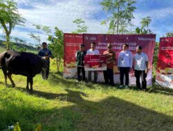 Telkomsel Bagikan Hewan Kurban ke Lebih dari 600 Titik Prioritas di Seluruh Penjuru Indonesia, Sambungkan Senyuman di Momen Iduladha 1446 H
