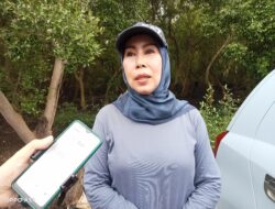 Setelah Tanam Mangrove di Untia, DP2 Kota Makassar, Target Pesisir Tallo dan Lantebung