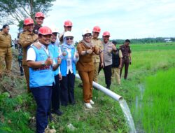 Listrik untuk Rakyat, Petani di Barru Bisa Hemat Operasional Hingga 55 Persen Berkat Layanan PLN