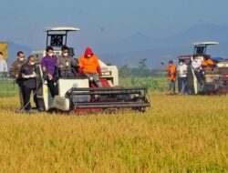 Kelompok Tani di Bone Bantah Bantuan Alsintan Diperjualbelikan dan Isu Bagi Hasil