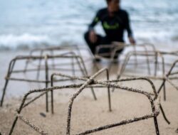 Langkah Strategis Pulihkan Laut Demi Generasi Mendatang: PT Vale Tanam 25 Struktur Terumbu Karang dan Bersihkan Pesisir Pulau Bulupoloe