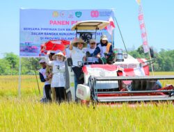 Panen Raya dan Tudang Sipulung Maros Jadi Titik Tolak Ketahanan Pangan Nasional
