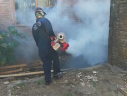 Tekan Kasus DBD, Dinkes Makassar Gencar Lakukan Fogging