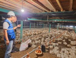 Utamakan Daya Beli Masyarakat, Pemerintah Jaga Tarif Listrik Tetap Terjangkau Sepanjang 2025