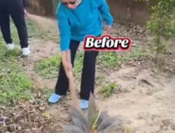 Dinas Pertanahan Kota Makassar bersama Jajaran Sukseskan Gerakan Gotong Royong Kerja Bakti Massal atau World Cleanup Day