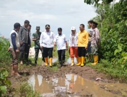 Pemkot Makassar Siapkan Pembangunan Jalan di Romang Tangayya Tahun 2026