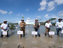 Mengakar Bersama untuk Energi Bersih, PLN Group Sulawesi Selatan Tanam 10.150 Pohon di Jeneponto