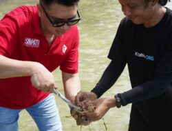 Bersama Pelanggan, Telkomsel Dorong Pelestarian Lamun dan Hadirkan Rumah Kultivasi dari Donasi Telkomsel Poin di Desa Maharayya