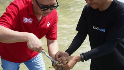 Bersama Pelanggan, Telkomsel Dorong Pelestarian Lamun dan Hadirkan Rumah Kultivasi dari Donasi Telkomsel Poin di Desa Maharayya