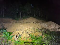 Wabup Gowa Bongkar Perambahan Puluhan Hektare Hutan Lindung di Tombolo Pao