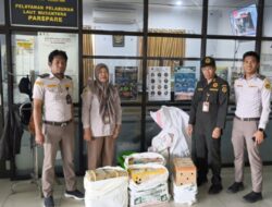 Karantina Sulsel Tahan Enam Ayam Tanpa Dokumen di Pelabuhan Parepare