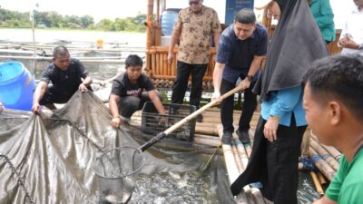 Wali Kota Munafri Ikut Panen Ikan di Keramba Warga, Ketahanan Pangan Makassar Terus Diperkuat
