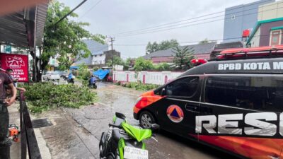 Pohon Tumbang Tutup Jalan Abdesir, BPBD Makassar Lakukan Penanganan Cepat