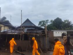 Cuaca Ekstrem Sebabkan Pohon Tumbang dan Kerusakan Rumah, BPBD Makassar Imbau Warga Tetap Waspada