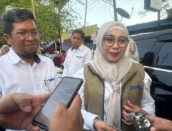 Sulsel ditargetkan Kembali Suprlus Beras, Karmila: Panen Raya Sudah Mulai di Beberapa Daerah