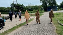 Kepala DP2 Makassar Tinjau Lokasi Pengembangan Urban Farming di Wilayah Kelurahan Untia