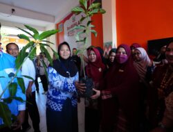 Lewat “Go to School”, TP PKK Sulsel Salurkan Bibit dan Fasilitas Pilah Sampah ke SMA Negeri 1 Wajo