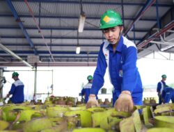 Pertamina Patra Niaga Regional Sulawesi Tegaskan Informasi Pendaftaran Pangkalan LPG Berbayar adalah Hoax