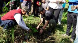 Peduli Lingkungan, Camat Panakkukang Tanam Mahoni hingga Ketapang di Kelurahan Pampang