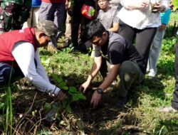 Peduli Lingkungan, Camat Panakkukang Tanam Mahoni hingga Ketapang di Kelurahan Pampang