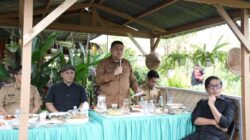 Perkuat Ketahanan Pangan, Munafri Instruksikan Urban Farming di Seluruh Wilayah untuk Pasok Program MBG