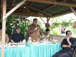 Perkuat Ketahanan Pangan, Munafri Instruksikan Urban Farming di Seluruh Wilayah untuk Pasok Program MBG