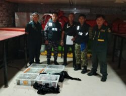 Bersinergi Wujudkan Pelindungan Maksimal Sumber Daya Alam, Barantin Serahkan Puluhan Reptil Hasil Penindakan
