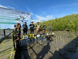 Kolaborasi Hijau di Untia: 7.000 Mangrove Ditanam Demi Selamatkan Pesisir Makassar