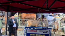 Sapi Kurban Presiden di Makassar Bobot 923 Kg, Appi: Bentuk Kepedulian Pemerintah kepada Masyarakat