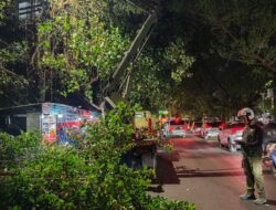 Antisipasi Area Gelap Saat Subuh, DLH Bersihkan Koridor Lintasan Pelari Makassar Half Marathon 2026
