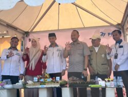 Dari Upacara Harlah Pancasila ke Aksi Nyata: Menanam Pohon Bersama PNM dan Buttaporea