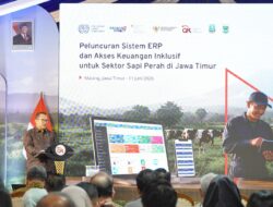 OJK dan ILO Luncurkan Enterprise Resource Planning, Tingkatkan Akses Pembiayaan Peternak Sapi Perah 