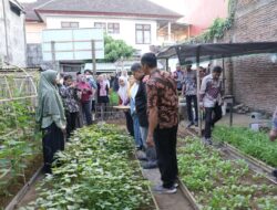 Wali Kota Appi Apresiasi Inovasi Urban Farming di Tammua, Terintegrasi dengan Sentra Tukar Sampah