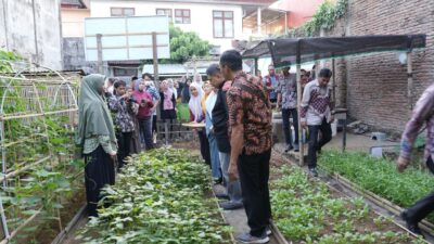 Wali Kota Appi Apresiasi Inovasi Urban Farming di Tammua, Terintegrasi dengan Sentra Tukar Sampah