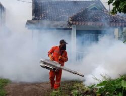 Kadinkes Makassar Sebut Pembatasan Fogging Didasarkan Pada Pertimbangan Efektivitas dan Dampak Lingkungan