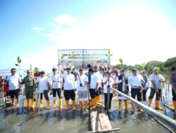 Pemprov Sulsel: Pelestarian Mangrove Butuh Kolaborasi Semua Pihak