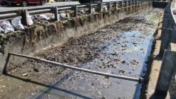 Aduan Warga via Lontara Plus Direspons, PU Makassar Normalisasi Saluran di Jalan Pengayoman