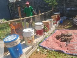 RT 04 Tamangapa Terapkan Pemilahan Sampah Sejak Tahun Lalu, Perkuat Kolaborasi Seluruh Unsur