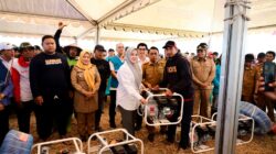 Panen Padi 10,4 Ton per Hektare, Wagub Sulsel Dukung Penguatan Pertanian Modern di Sidrap