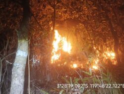 Kebakaran Melanda Sejumlah Wilayah di Sulsel, Gubernur Andi Sudirman Ajak Warga Tingkatkan Kewaspadaan