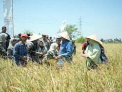 Hadapi Musim Kering, Pemkot Perkuat Dukungan Sarana Pertanian dan Teknologi untuk Petani Makassar
