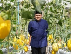 Bukit Baruga Kembangkan Urban Farming Terintegrasi dengan Potensi Pengembangan sebagai Percontohan di Kota Makassar